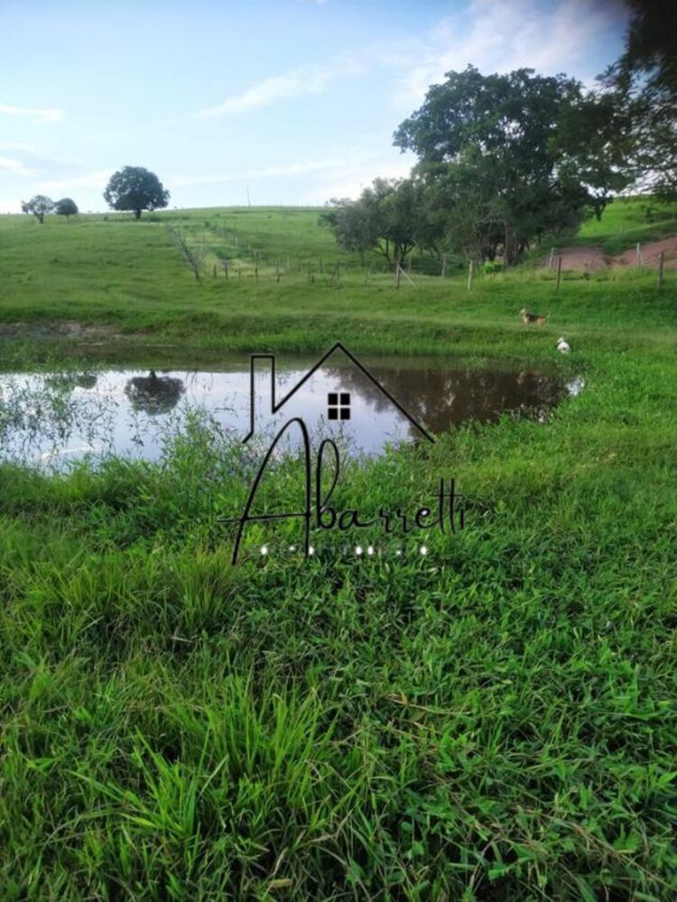 Sítio à venda - Foto 6