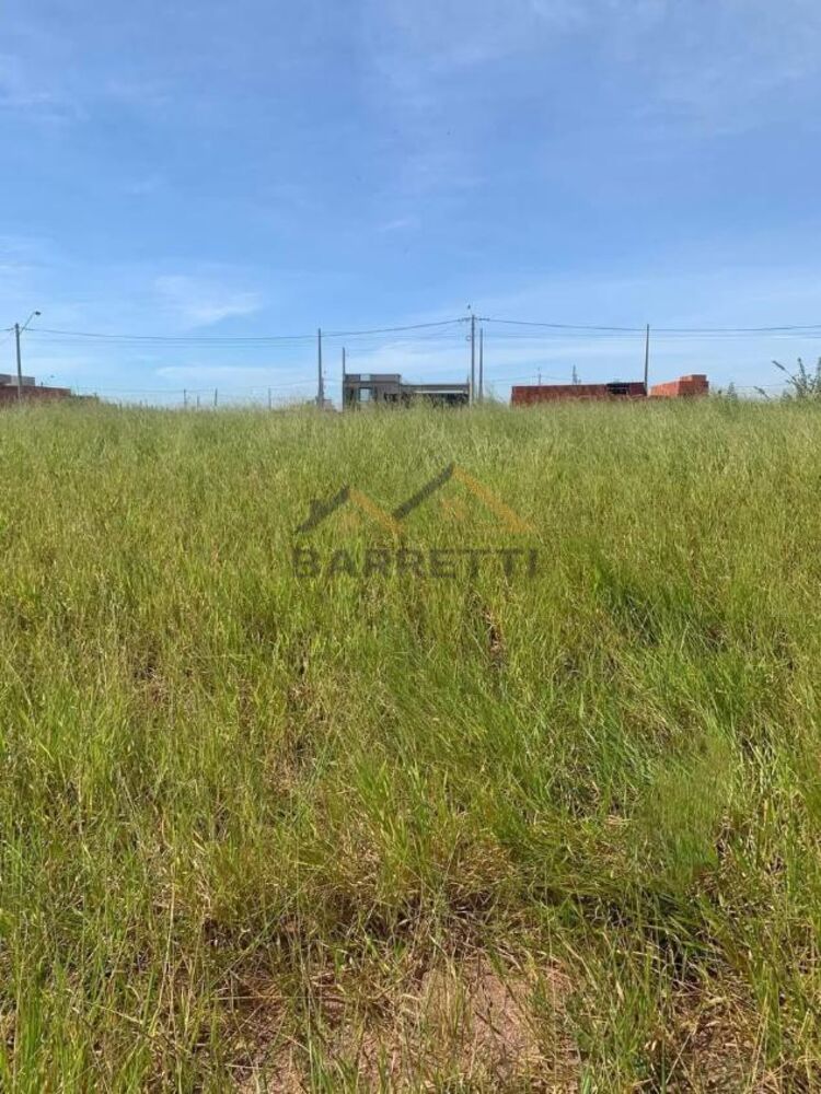 Terreno, 250 m² - Foto 3