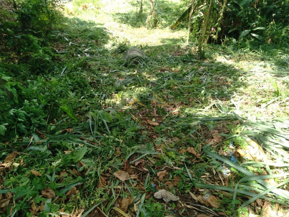 Terreno, 426 m² - Foto 8