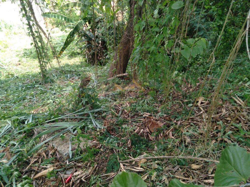 Terreno, 426 m² - Foto 4