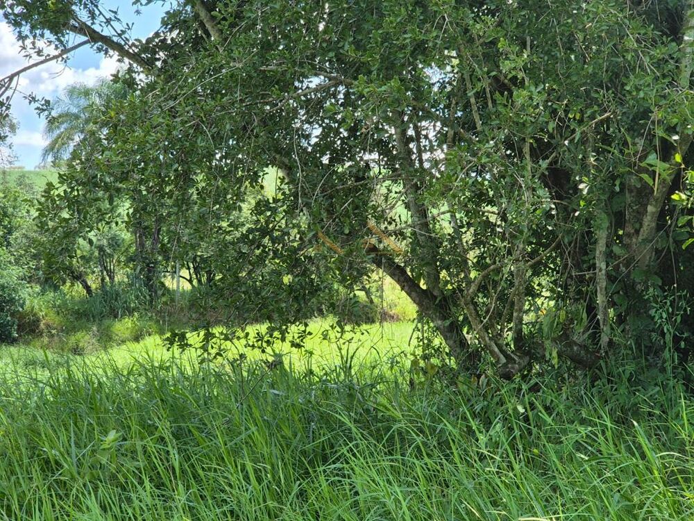 Sítio à venda, 179000m² - Foto 14