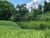 Sítio, 18 hectares - Foto 10