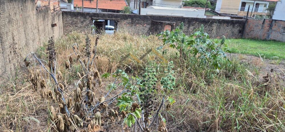 Terreno, 288 m² - Foto 4