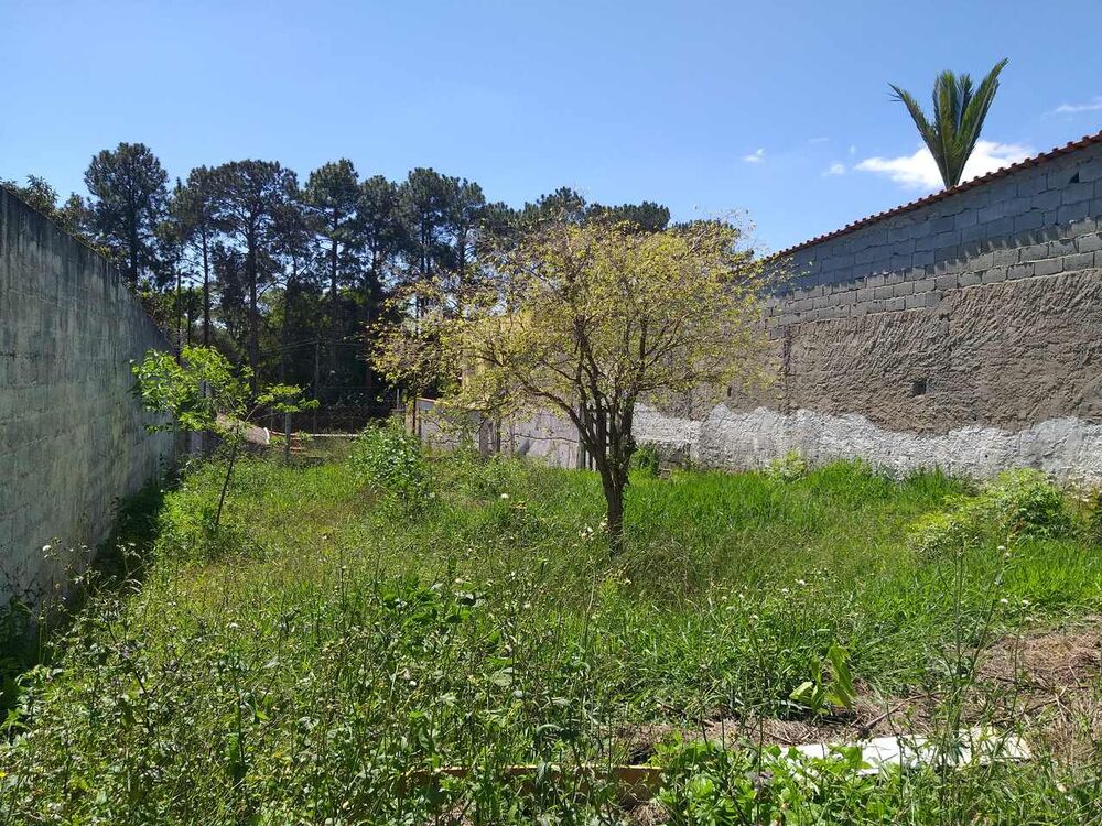 Terreno, 680 m² - Foto 2