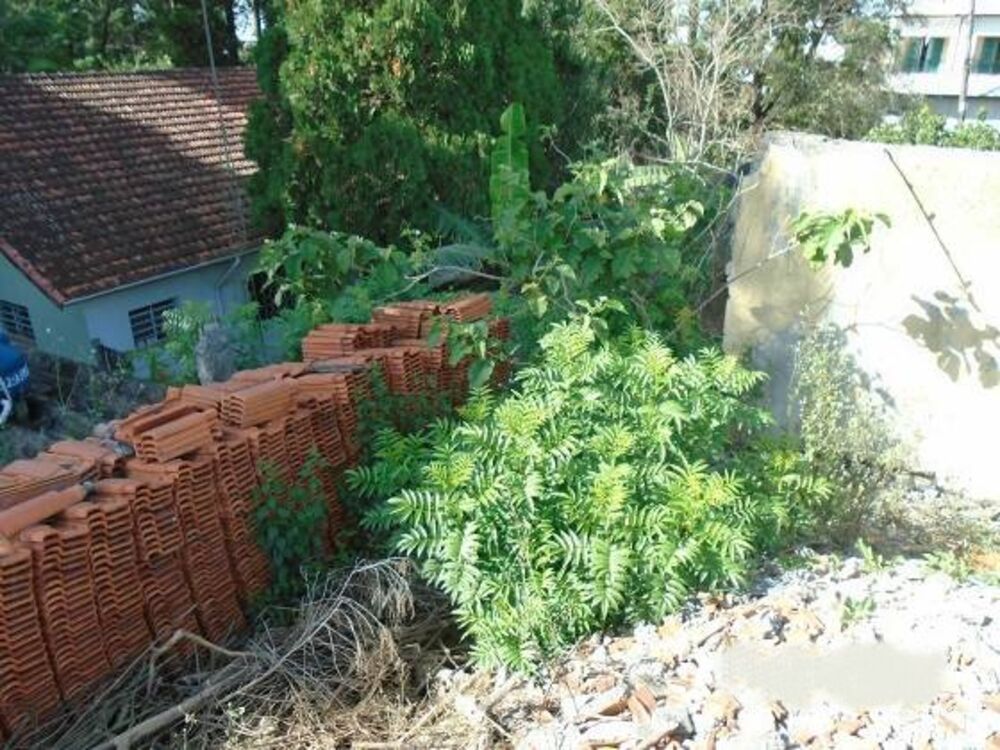 Terreno, 340 m² - Foto 6