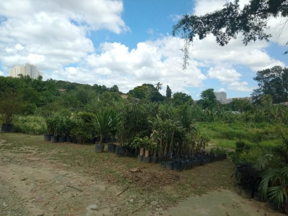 Terreno, 12500 m² - Foto 2