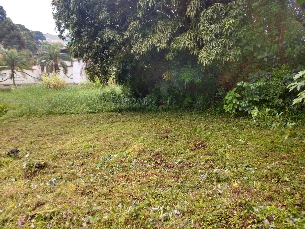 Loteamento e Condomínio - Foto 5