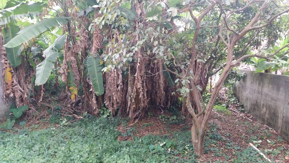 Terreno, 460 m² - Foto 1