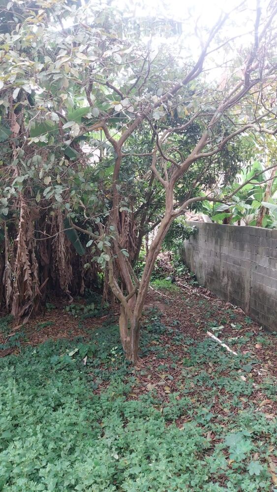 Terreno, 460 m² - Foto 2