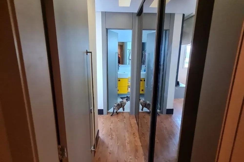 Apartamento, 4 quartos, 95 m² - Foto 11