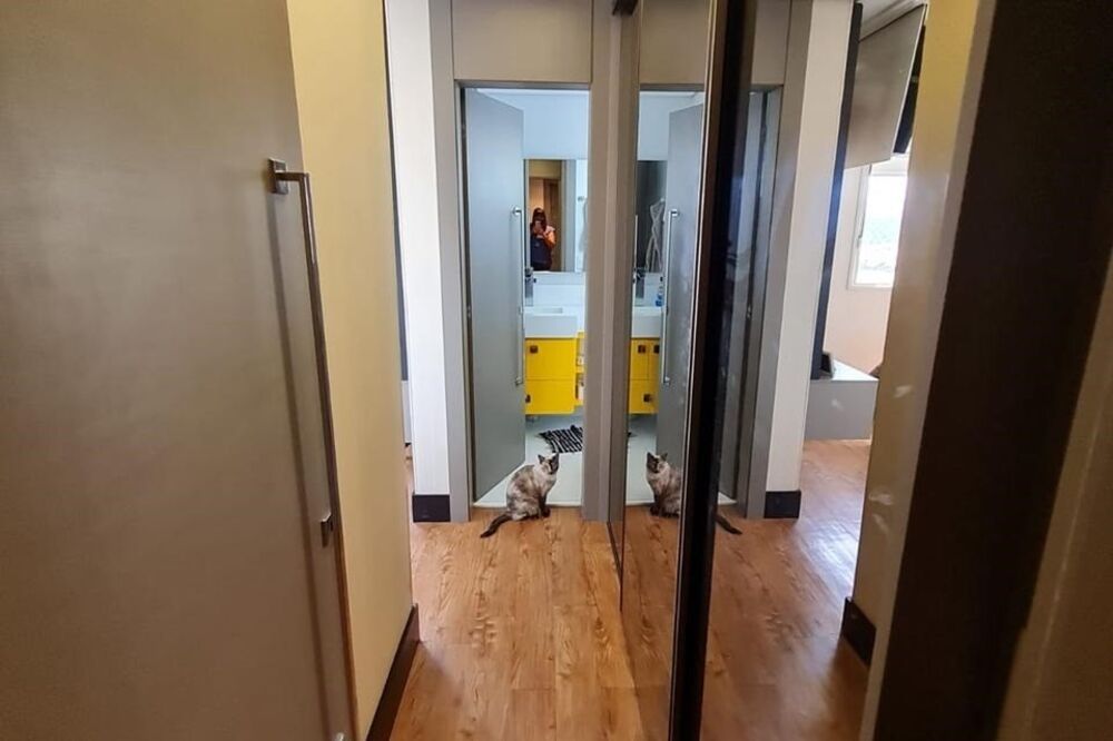 Apartamento, 4 quartos, 95 m² - Foto 15