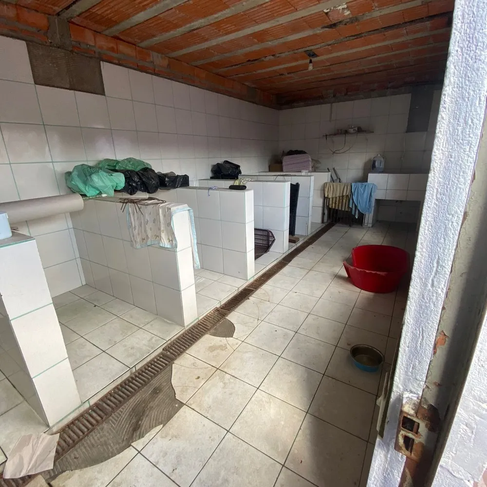 Casa, 5 quartos, 183 m² - Foto 16