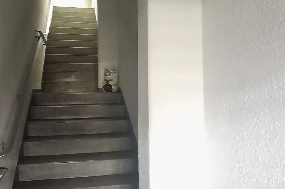 Casa, 4 quartos, 300 m² - Foto 14