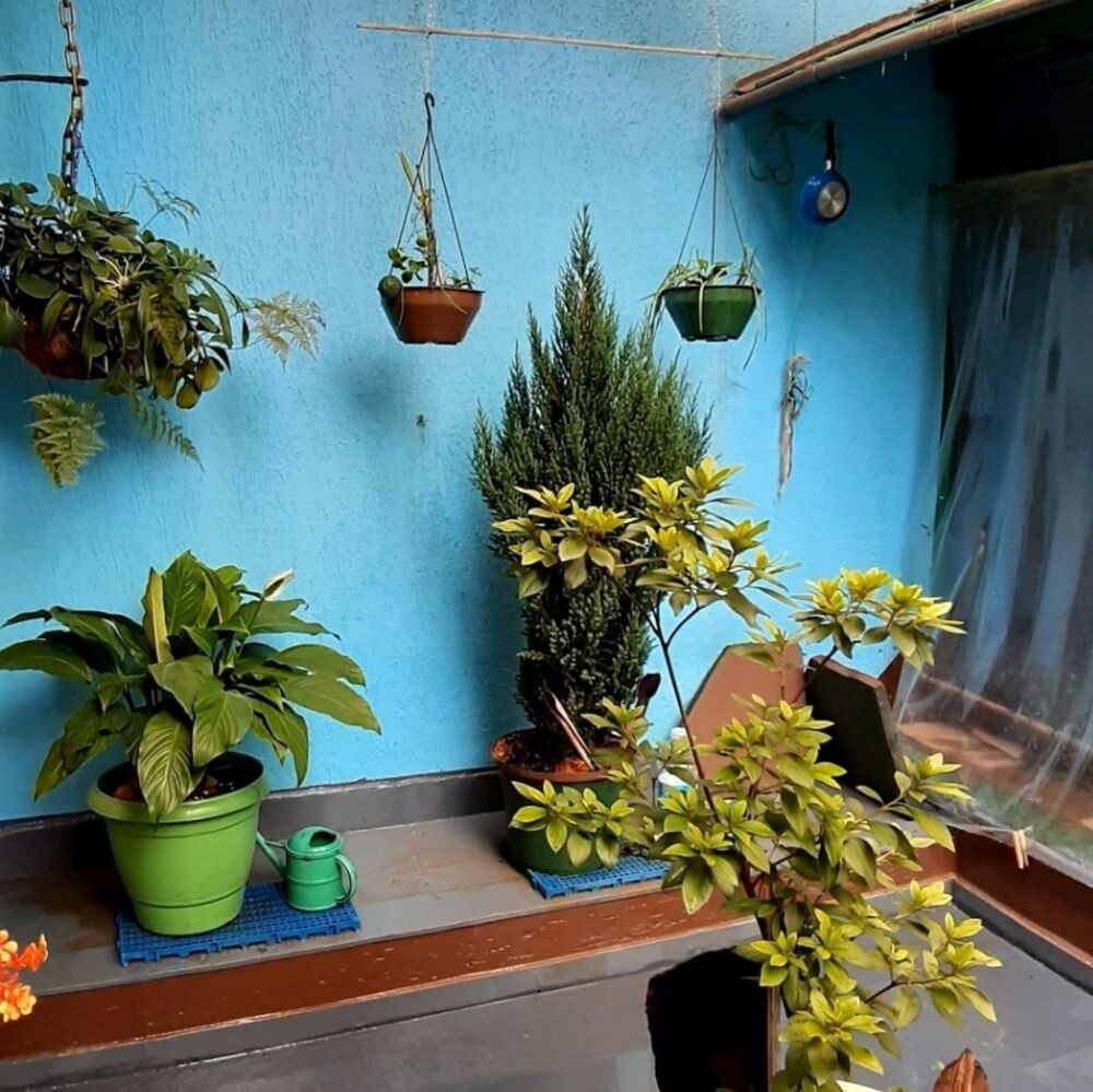 Casa, 3 quartos, 195 m² - Foto 9