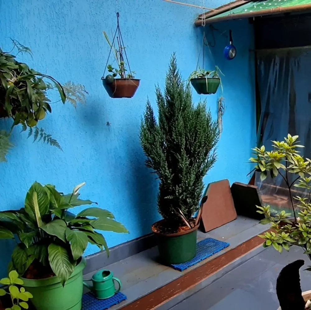 Casa, 3 quartos, 195 m² - Foto 20