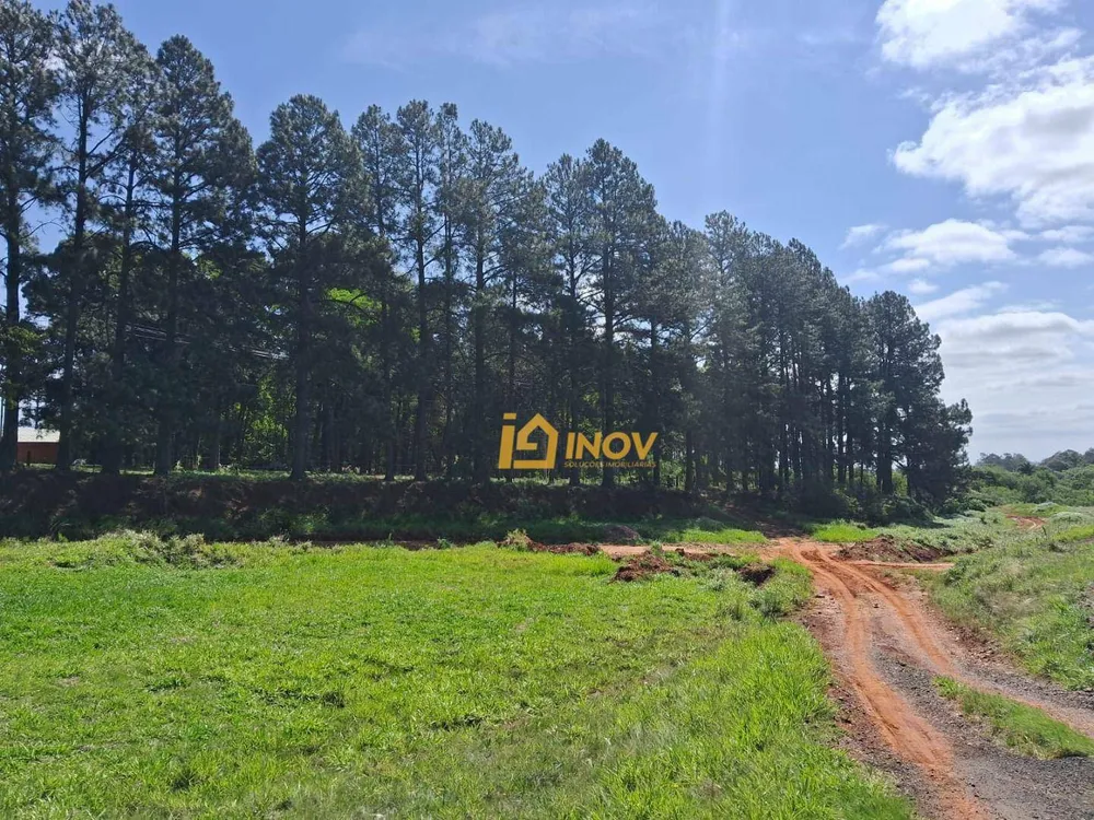 Terreno, 2 hectares - Foto 1