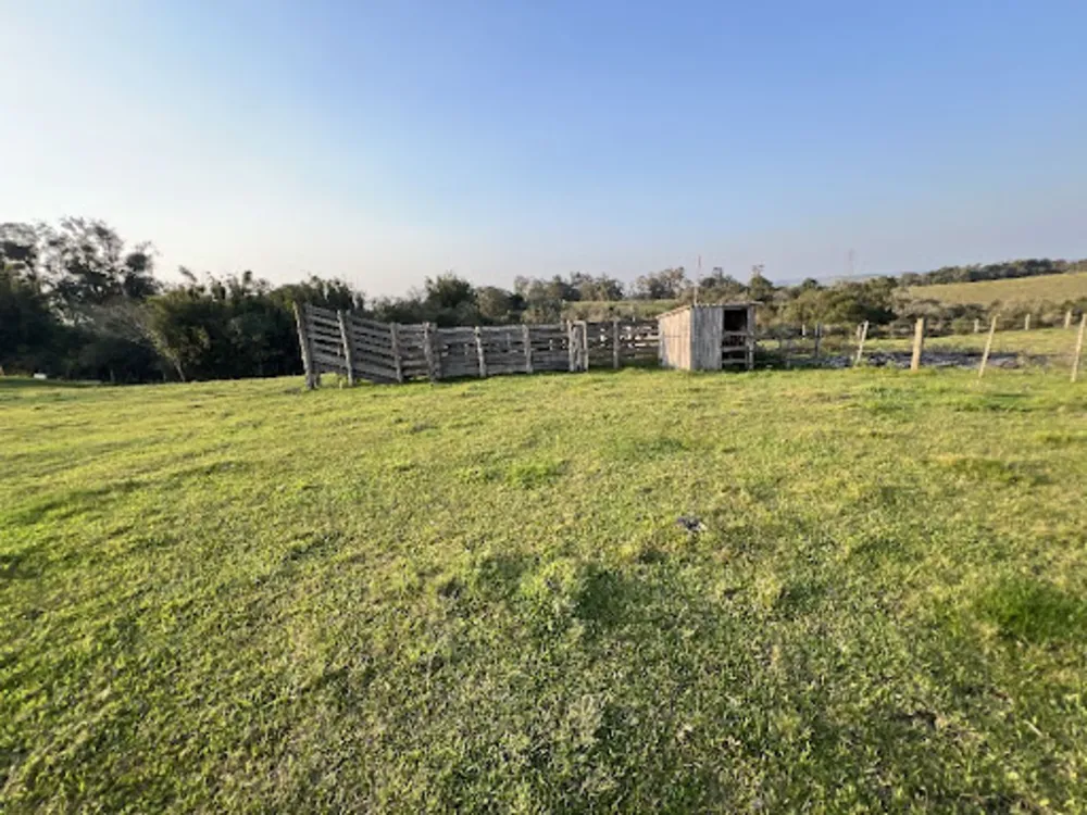 Terreno, 16 hectares - Foto 3
