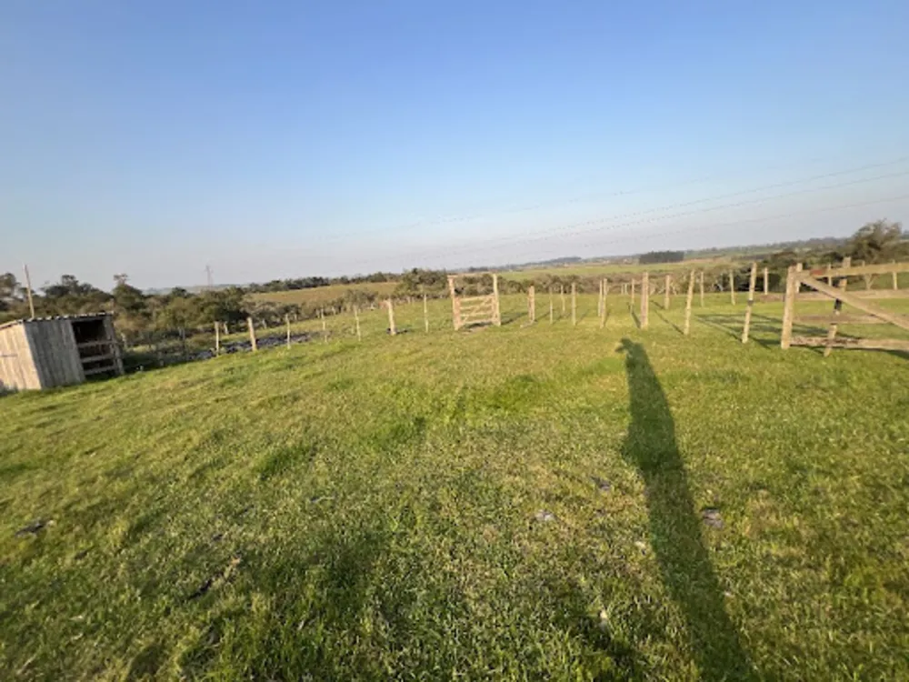 Terreno, 16 hectares - Foto 4