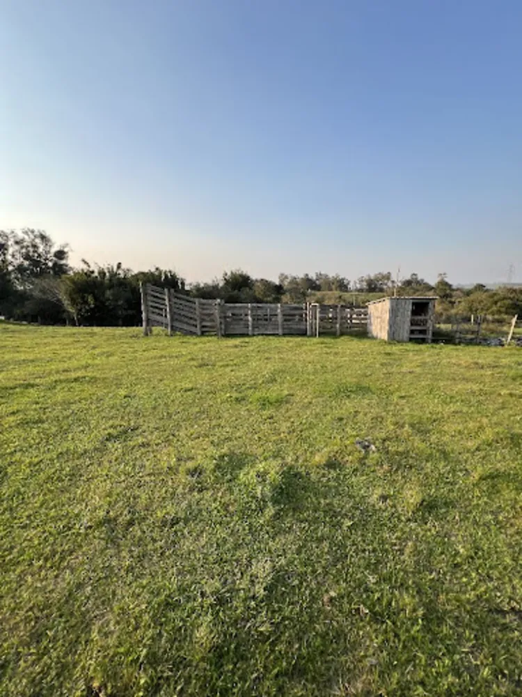Terreno, 16 hectares - Foto 2