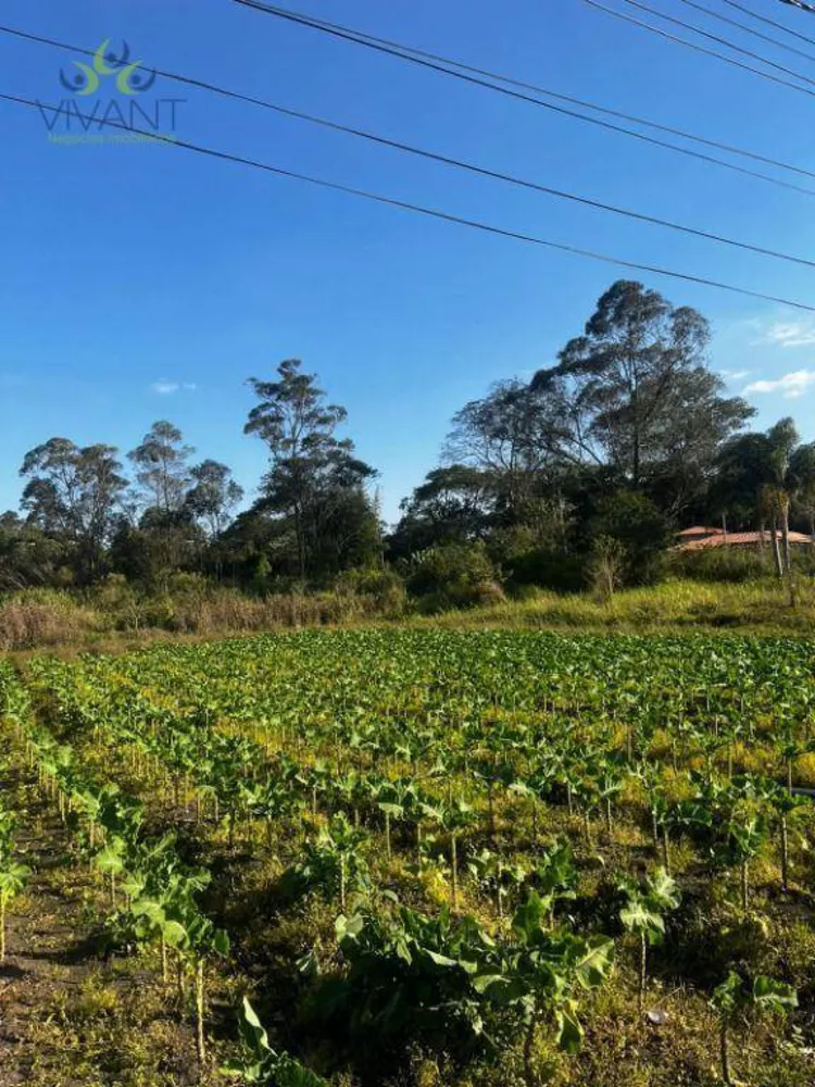 Terreno à venda, 1024M2 - Foto 4