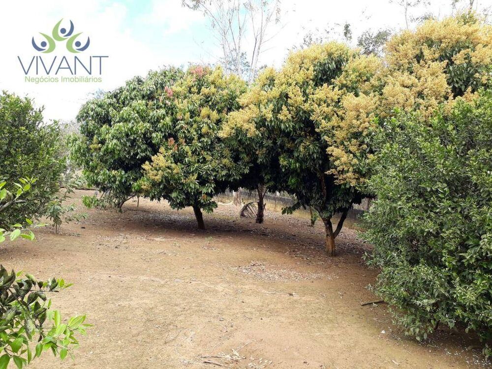 Chácara, 3 quartos, 10000 m² - Foto 1