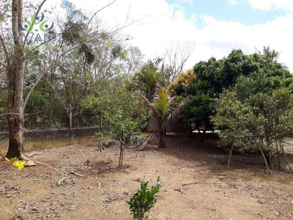 Chácara, 3 quartos, 10000 m² - Foto 3