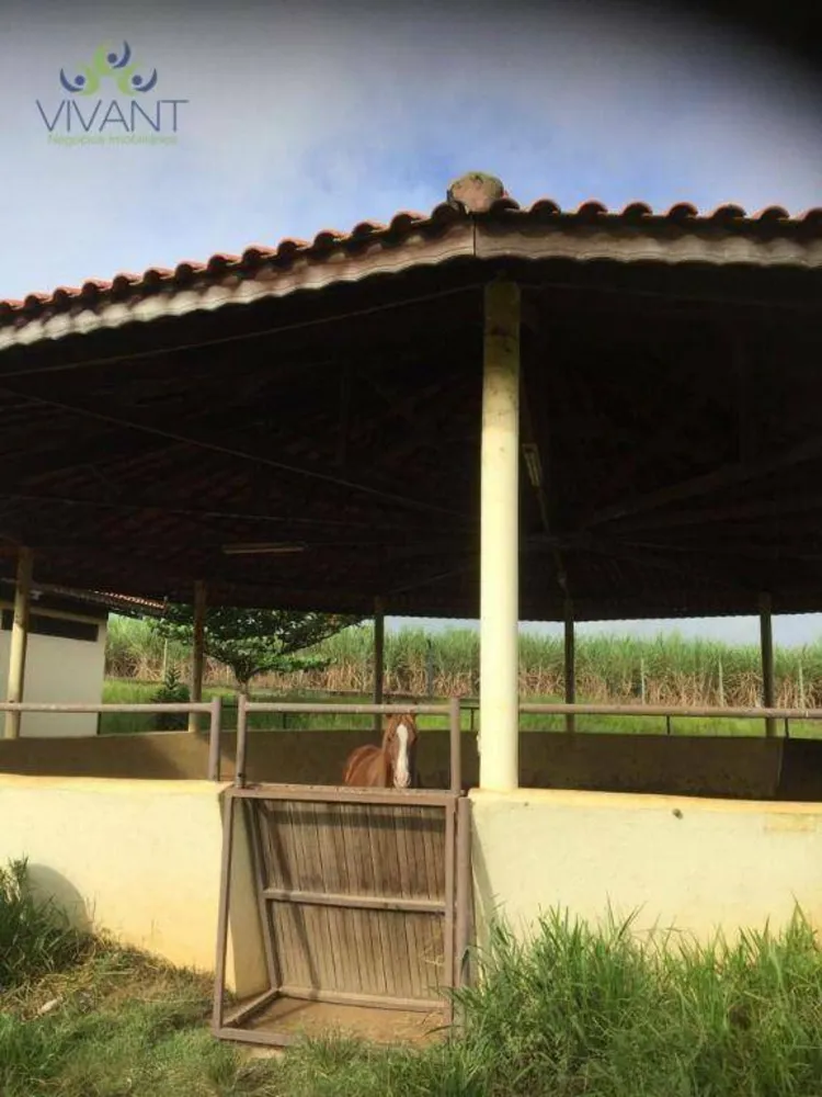Fazenda, 10 hectares - Foto 9