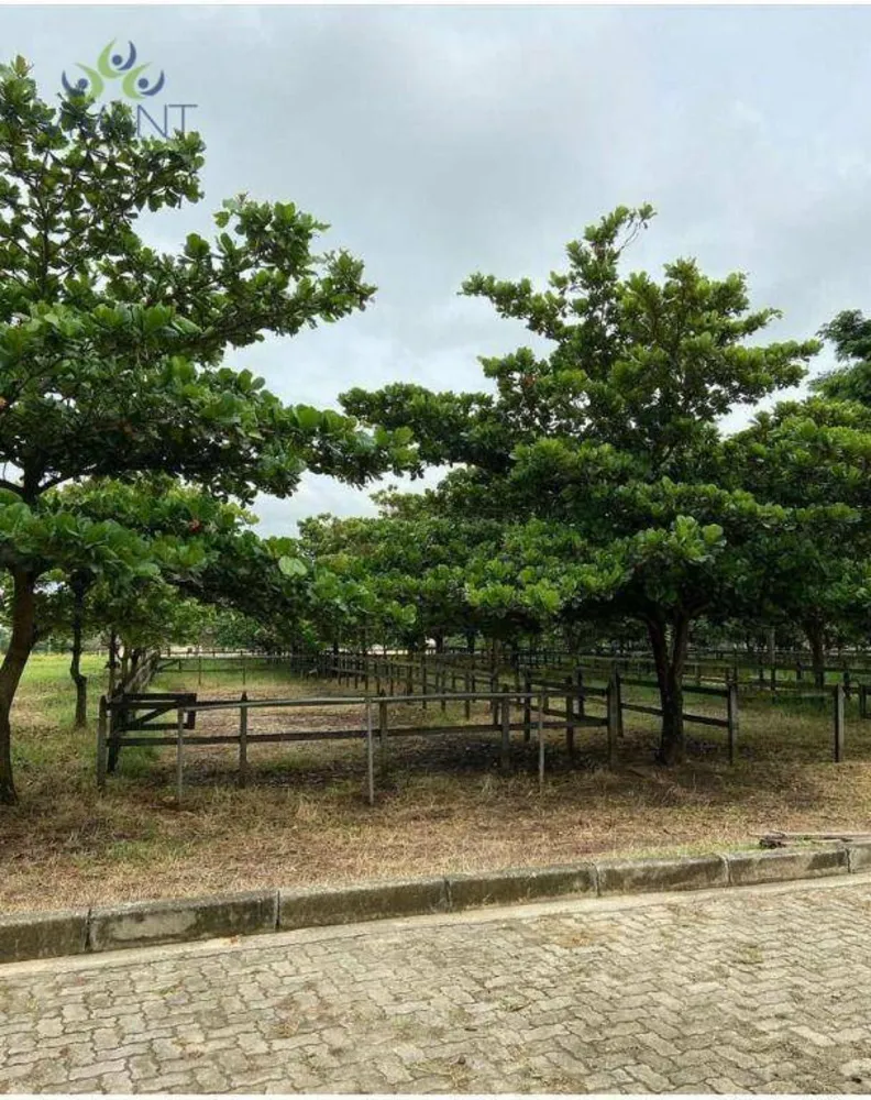 Fazenda, 10 hectares - Foto 6