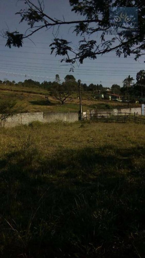 Terreno, 3000 m² - Foto 8