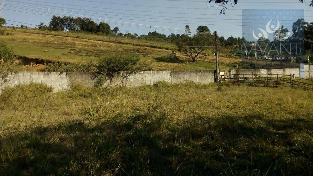 Terreno, 3000 m² - Foto 6