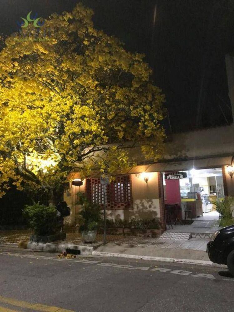 Loja-Salão, 254 m² - Foto 3