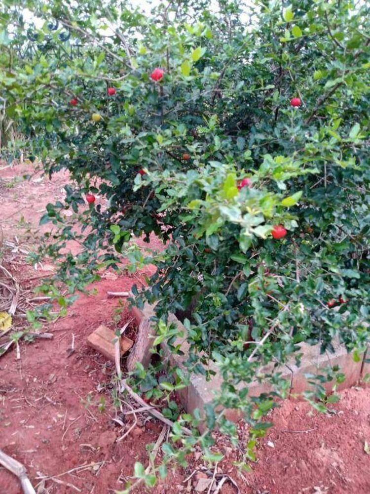 Casa, 1 quarto, 130 m² - Foto 1