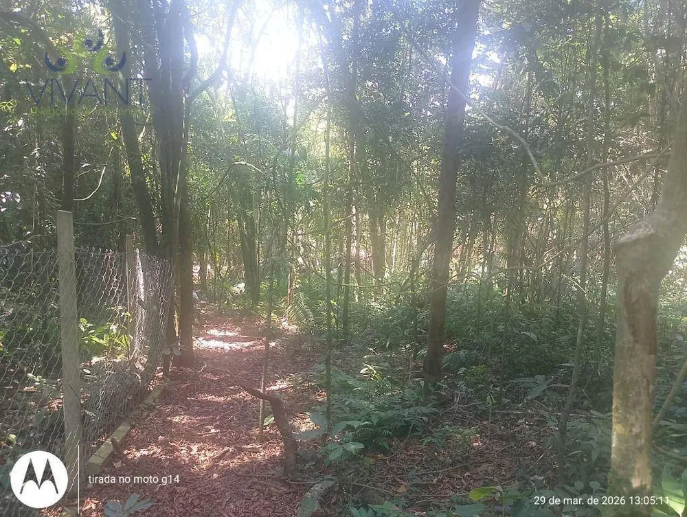 Terreno, 5000 m² - Foto 8