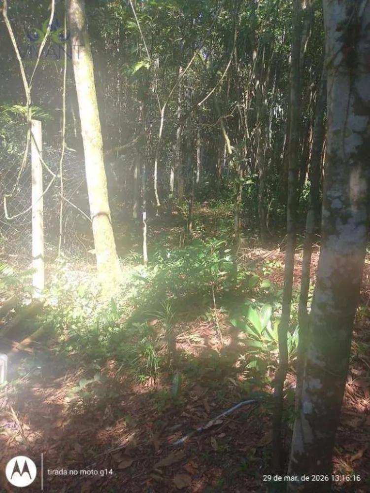 Terreno, 5000 m² - Foto 4