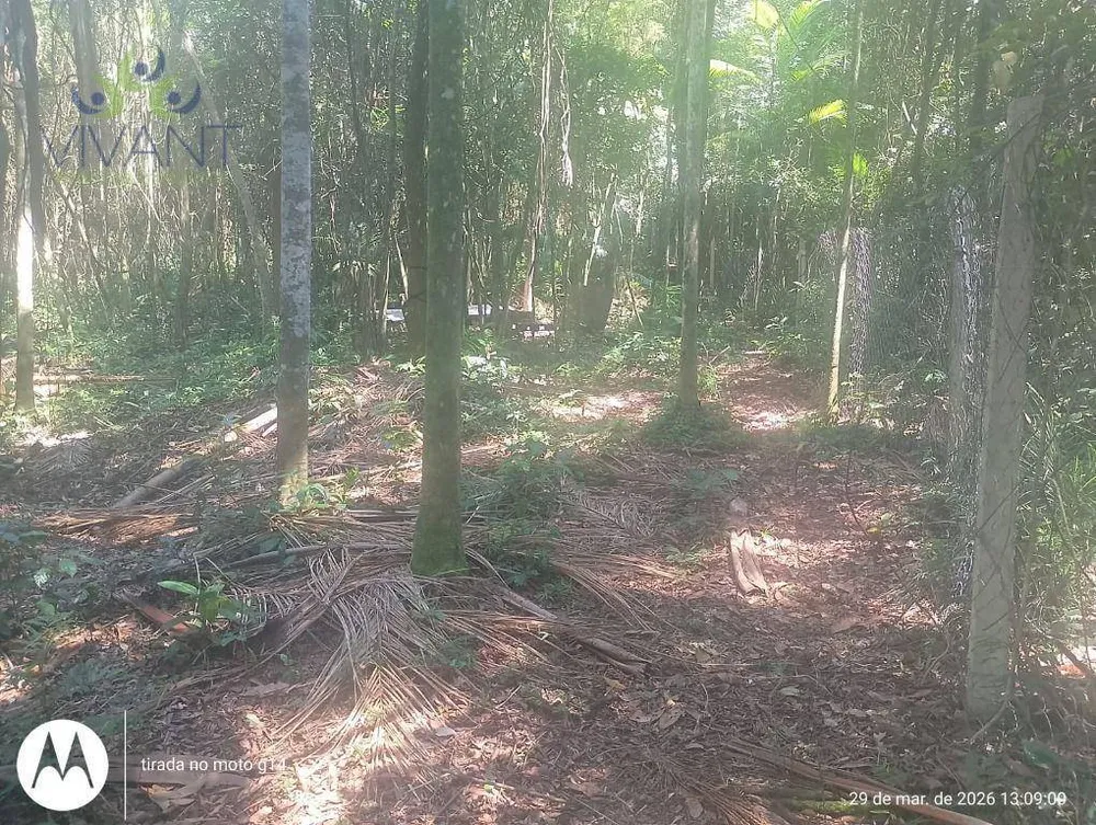 Terreno, 5000 m² - Foto 7