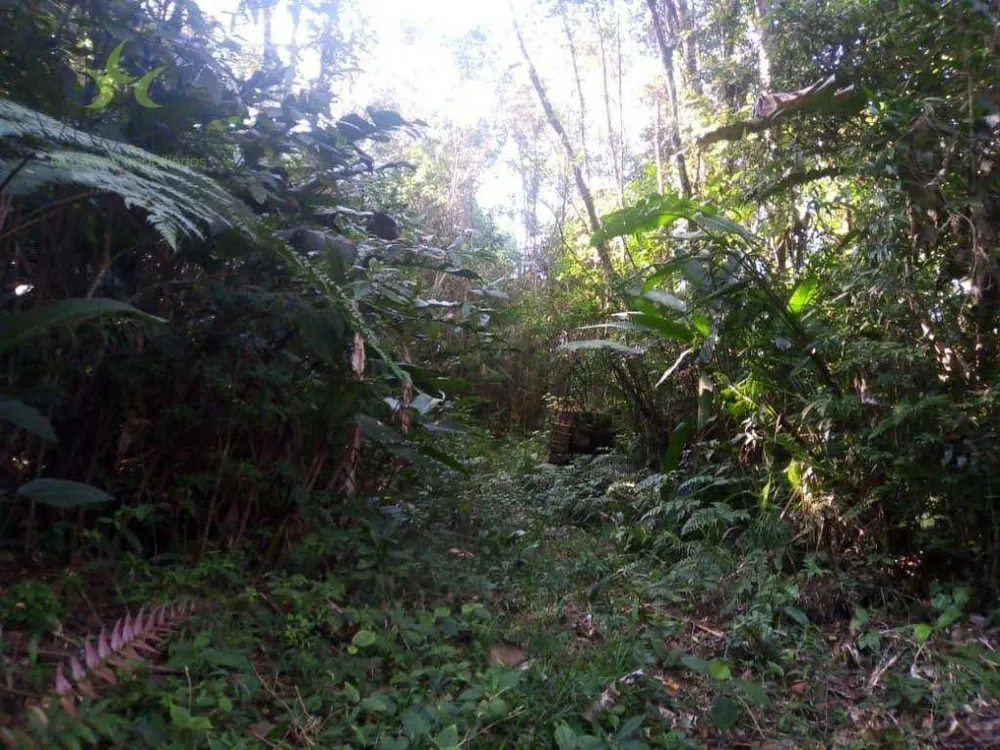 Terreno, 2 hectares - Foto 1