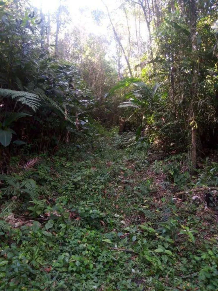 Terreno, 2 hectares - Foto 3