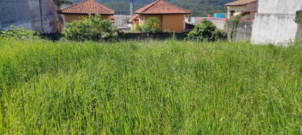 Terreno, 500 m² - Foto 3