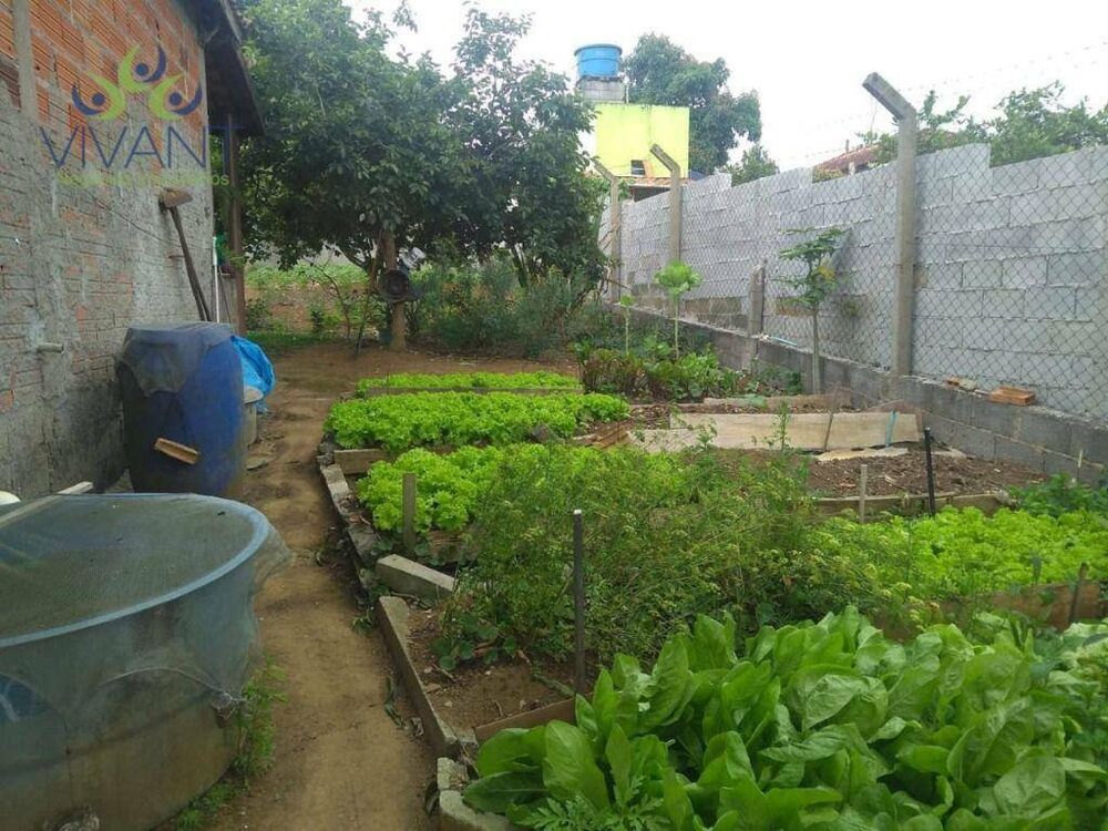 Chácara, 2 quartos, 1000 m² - Foto 4