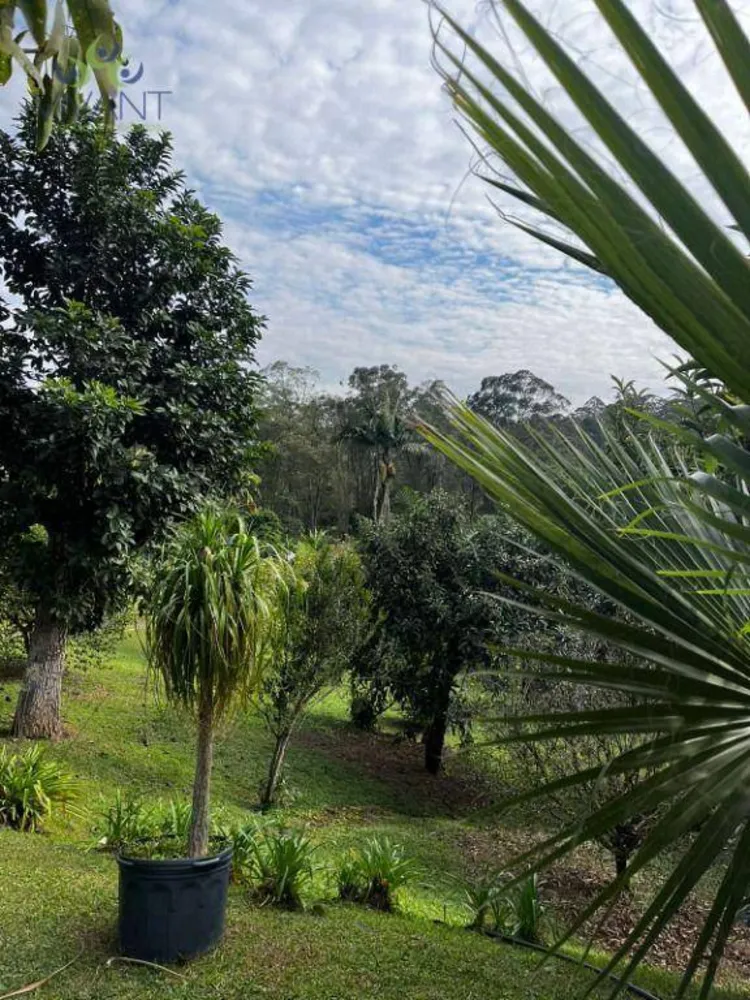 Chácara, 3 quartos, 1 hectares - Foto 11
