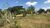 Terreno, 1225 m² - Foto 1