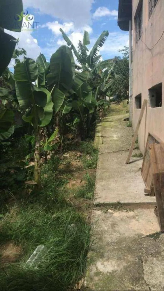 Chácara, 2 quartos, 1225 m² - Foto 3