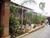 Casa, 3 quartos, 371 m² - Foto 6
