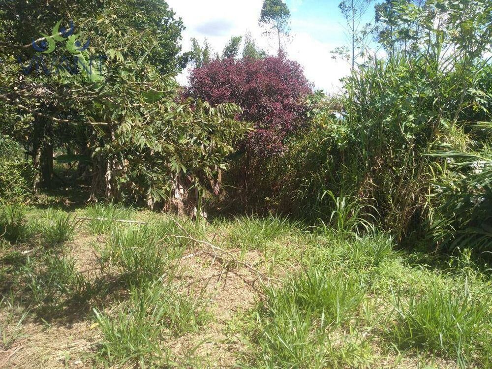 Casa, 2 quartos, 80 m² - Foto 4