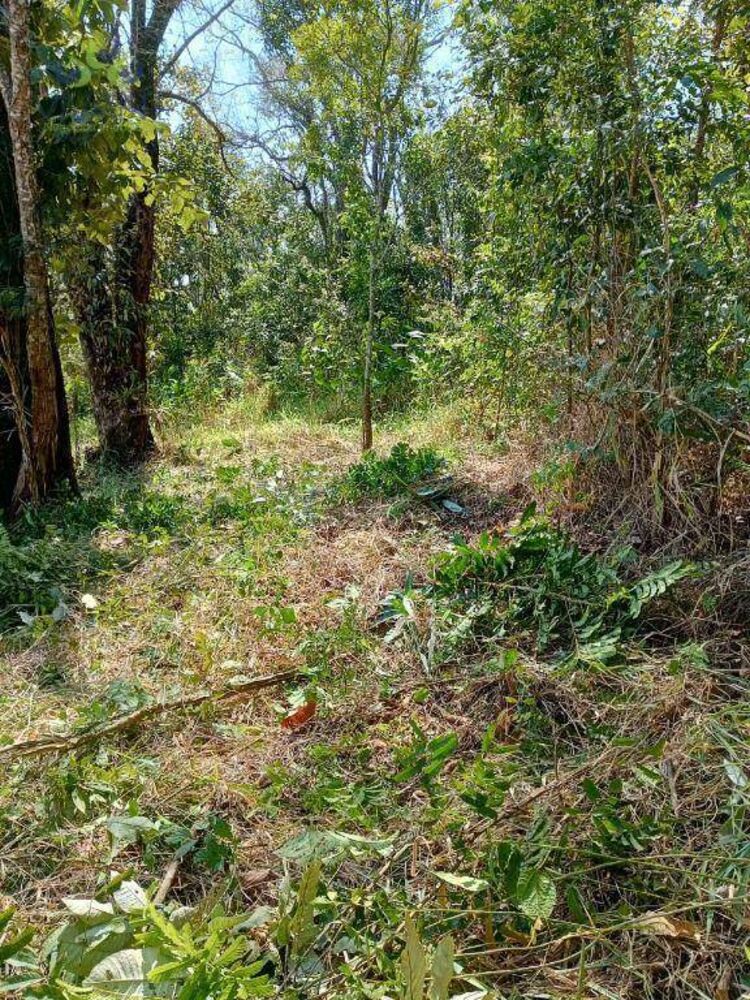 Terreno, 715 m² - Foto 5