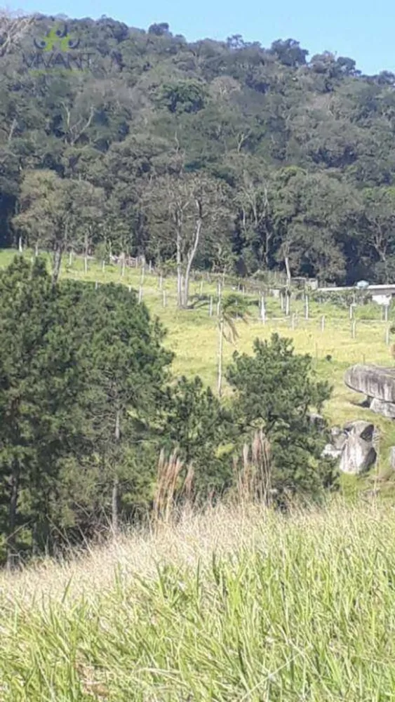 Terreno, 715 m² - Foto 5