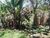 Terreno, 1200 m² - Foto 4