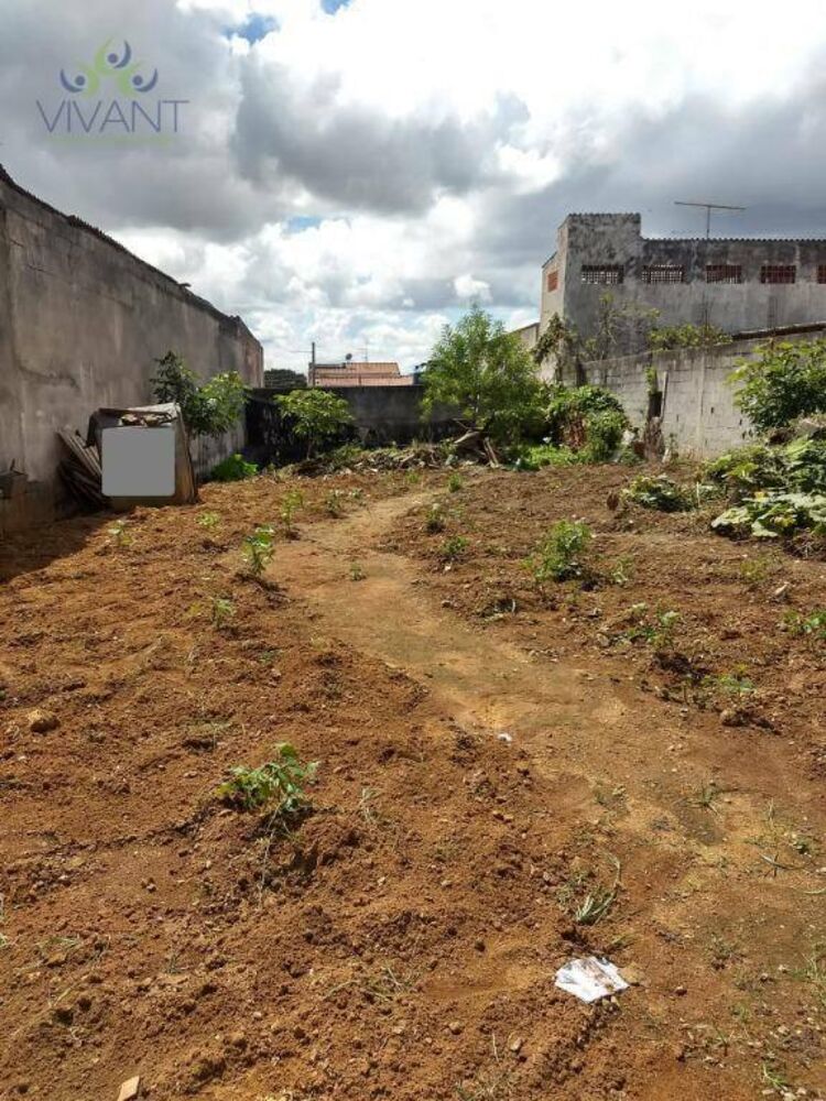 Terreno à venda, 265M2 - Foto 2