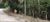 Terreno, 1750 m² - Foto 6