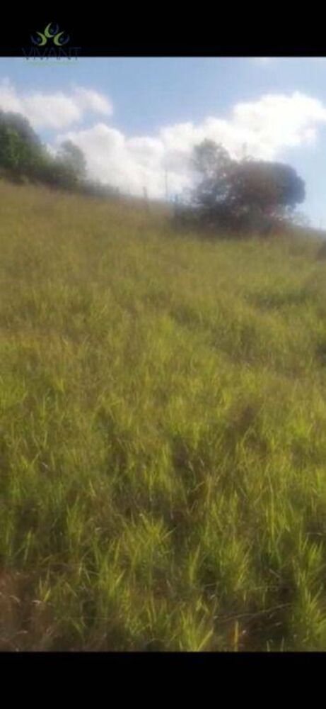 Terreno, 500 m² - Foto 2